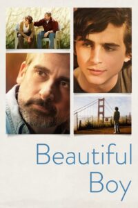 Read more about the article Beautiful Boy (2018)
