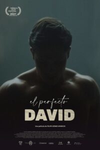 Read more about the article El Perfecto David (2021) Spanish (English Subtitle)