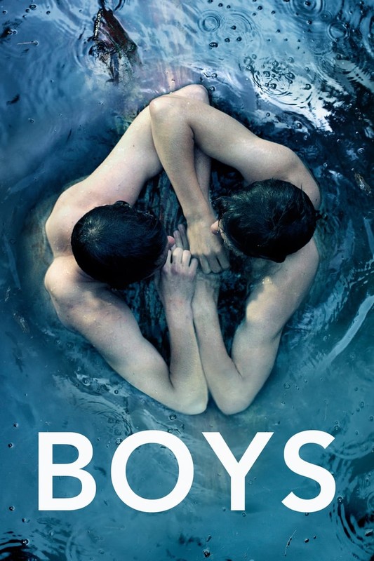 Read more about the article Boys (2014) Dutch (English Subtitle)
