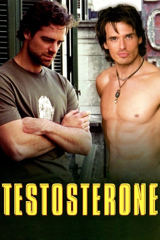 Read more about the article Testosterone (2003)