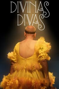 Read more about the article Divinas Divas (2016) Portuguese (Documentary)
