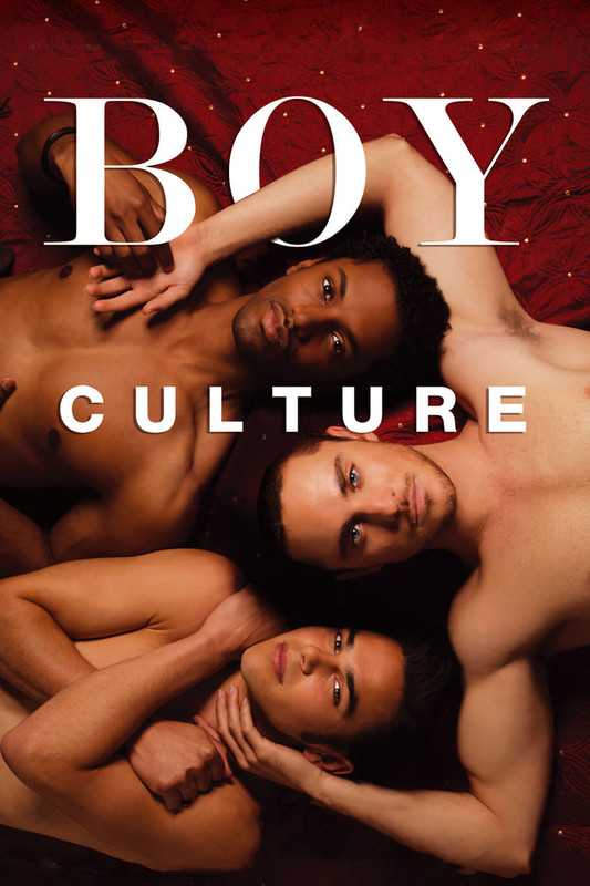 Read more about the article Boy Culture (2006)