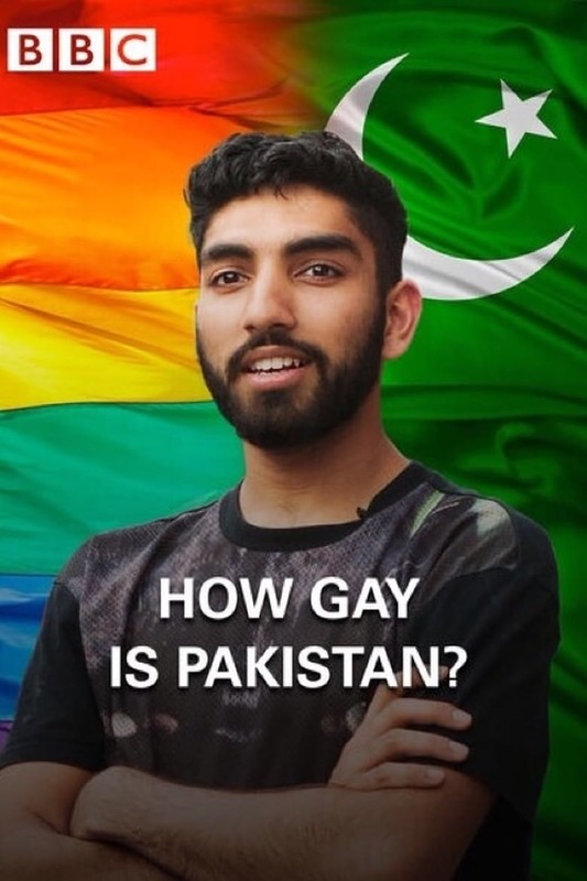 Read more about the article How Gay Is Pakistan? (2015)