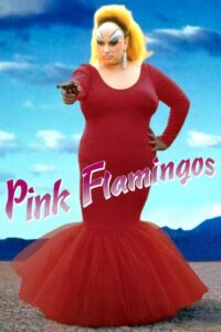 Read more about the article Pink Flamingos (1972)
