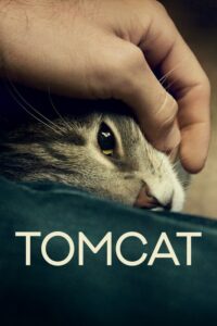 Read more about the article Tomcat (2016) German (English Subtitle)