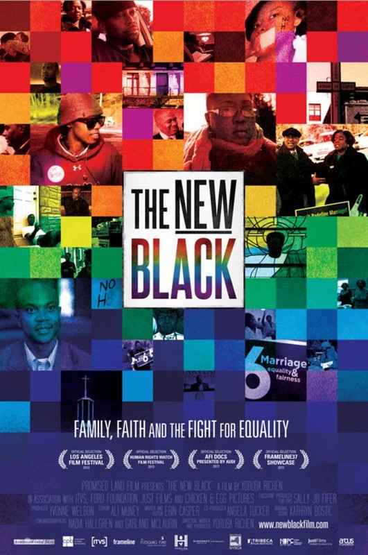 Read more about the article The New Black (2013)