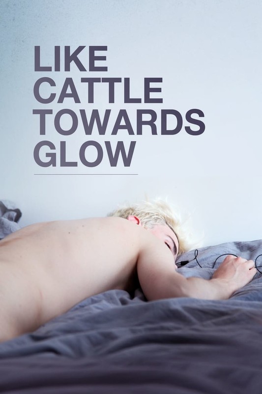 Read more about the article Like Cattle Towards Glow (2015)