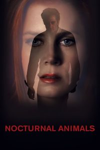 Read more about the article Nocturnal Animals (2016)