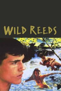 Read more about the article Wild Reeds (1994) French (English Subtitle)